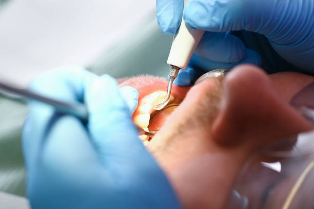 Best Pediatric Emergency Dentist in Lockhart, FL